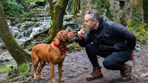 Build resilience in sales